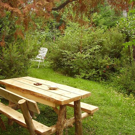 Hosteria Brisas Del Cerro Villa La Angostura Εξωτερικό φωτογραφία